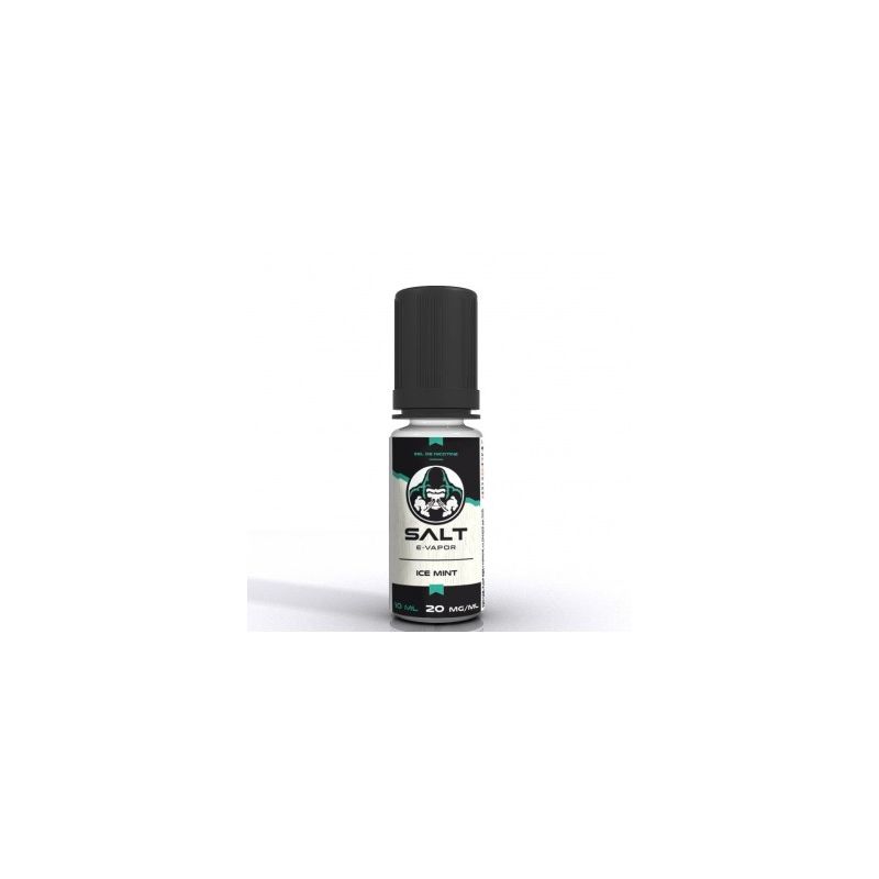 Ice Mint 10ML - Salt E-Vapor