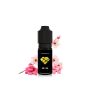 Concentré Sakura Fizz 10ml - 16/16 - 10ml